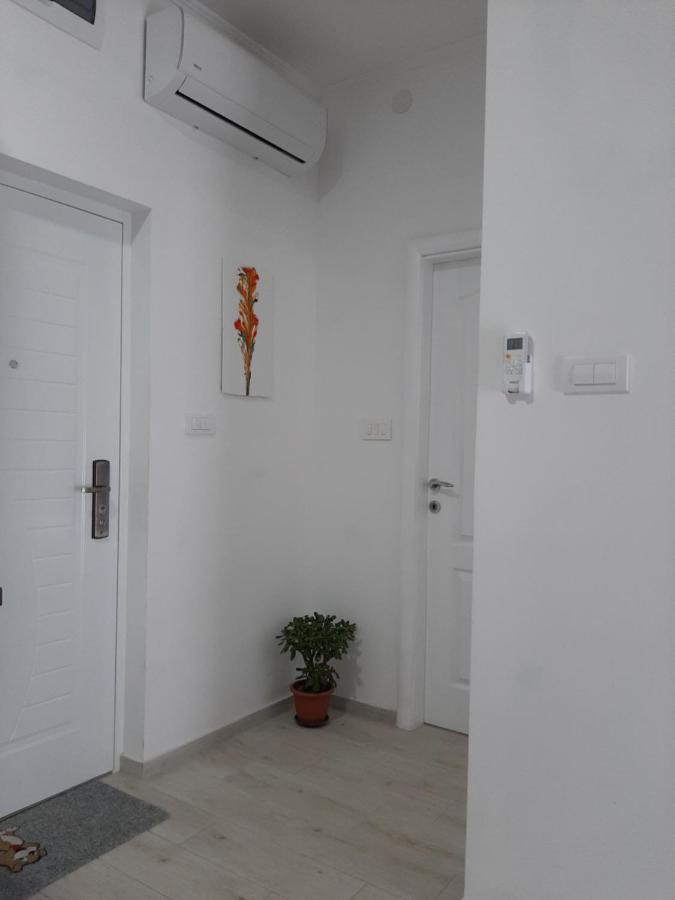 Apartments Ogurlic 赫尔采格诺维 外观 照片